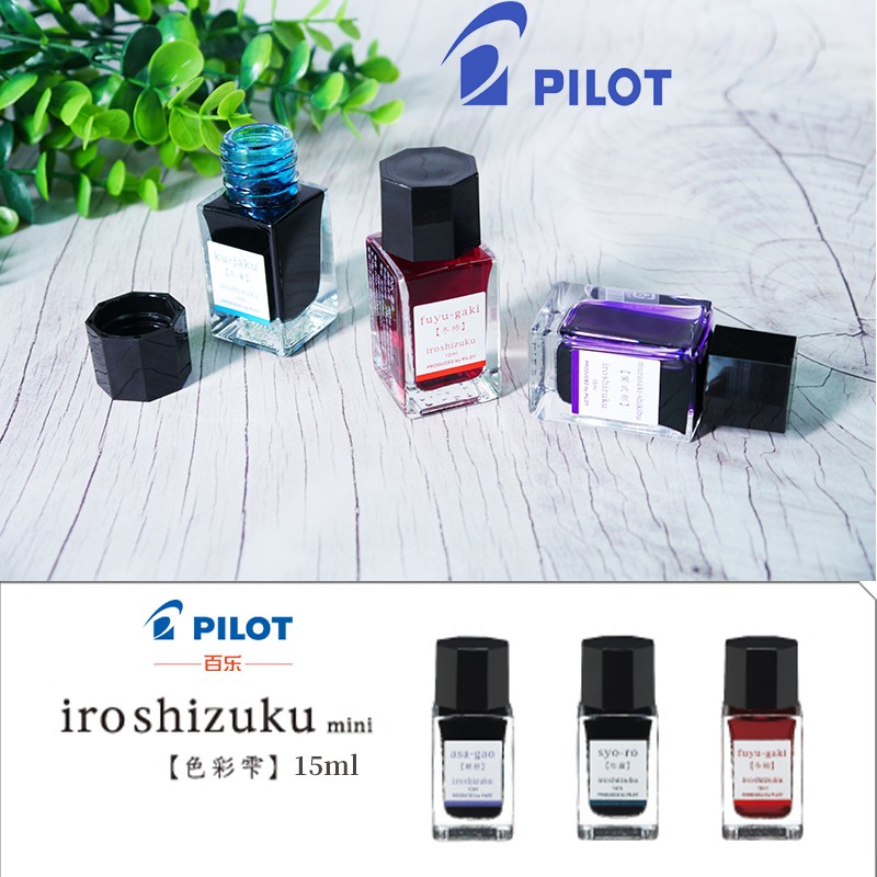 Calligraphy Ink Bottle - Encre pour stylo plume 15ml, bouteille