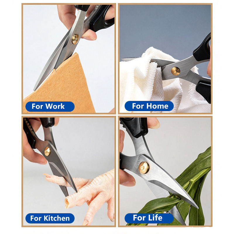 Ciseaux en acier inoxydable, o - Scissors Stainless Craft avis et prix